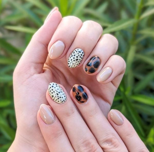 cute fall nails tortie