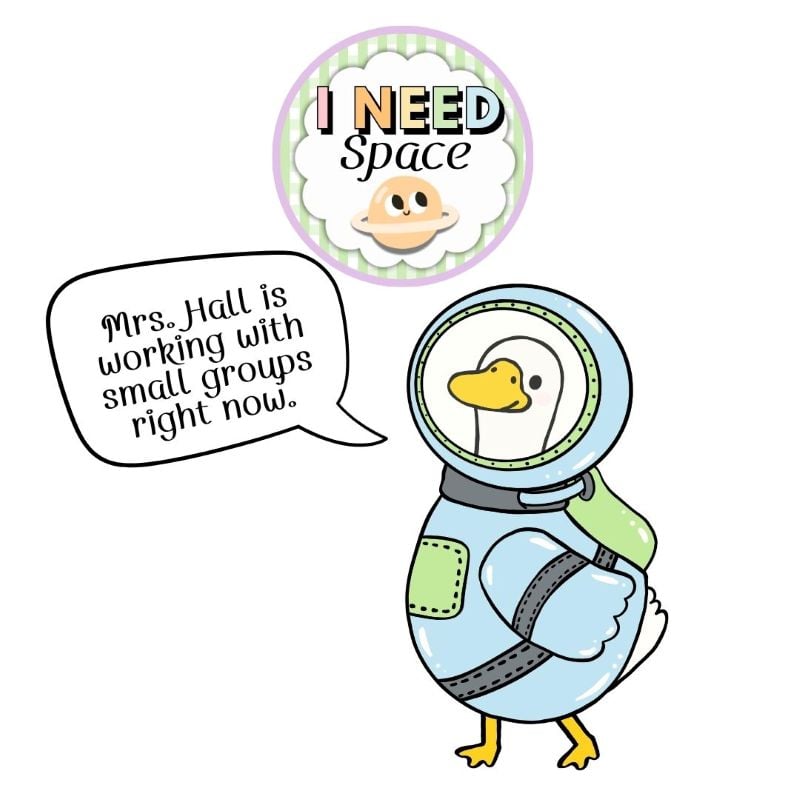 space goose classroom management tool