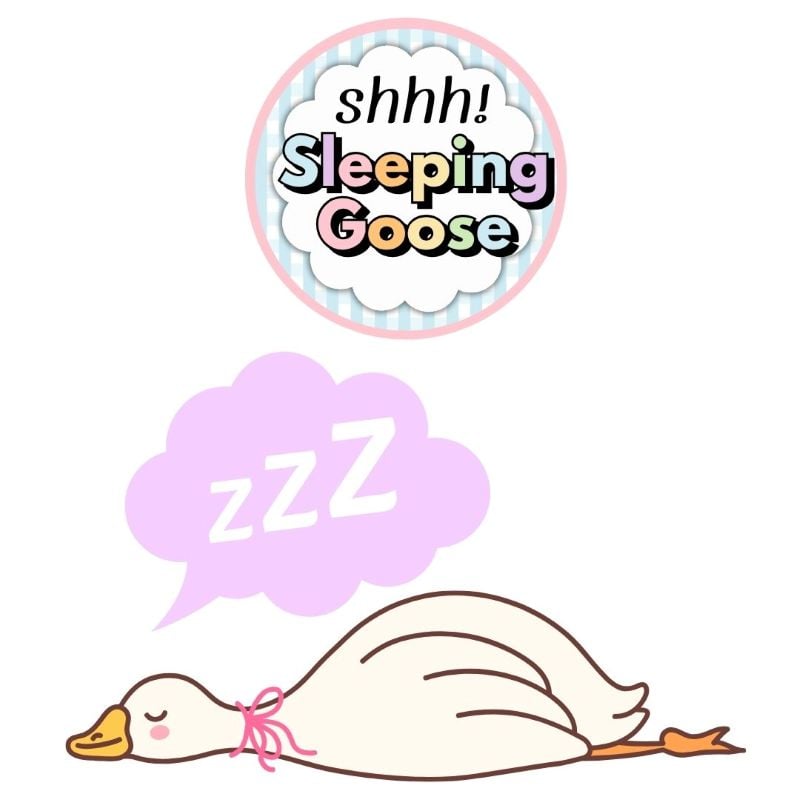 sleeping goose voice levels management for classroom