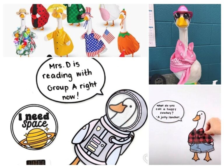 classroom goose ideas