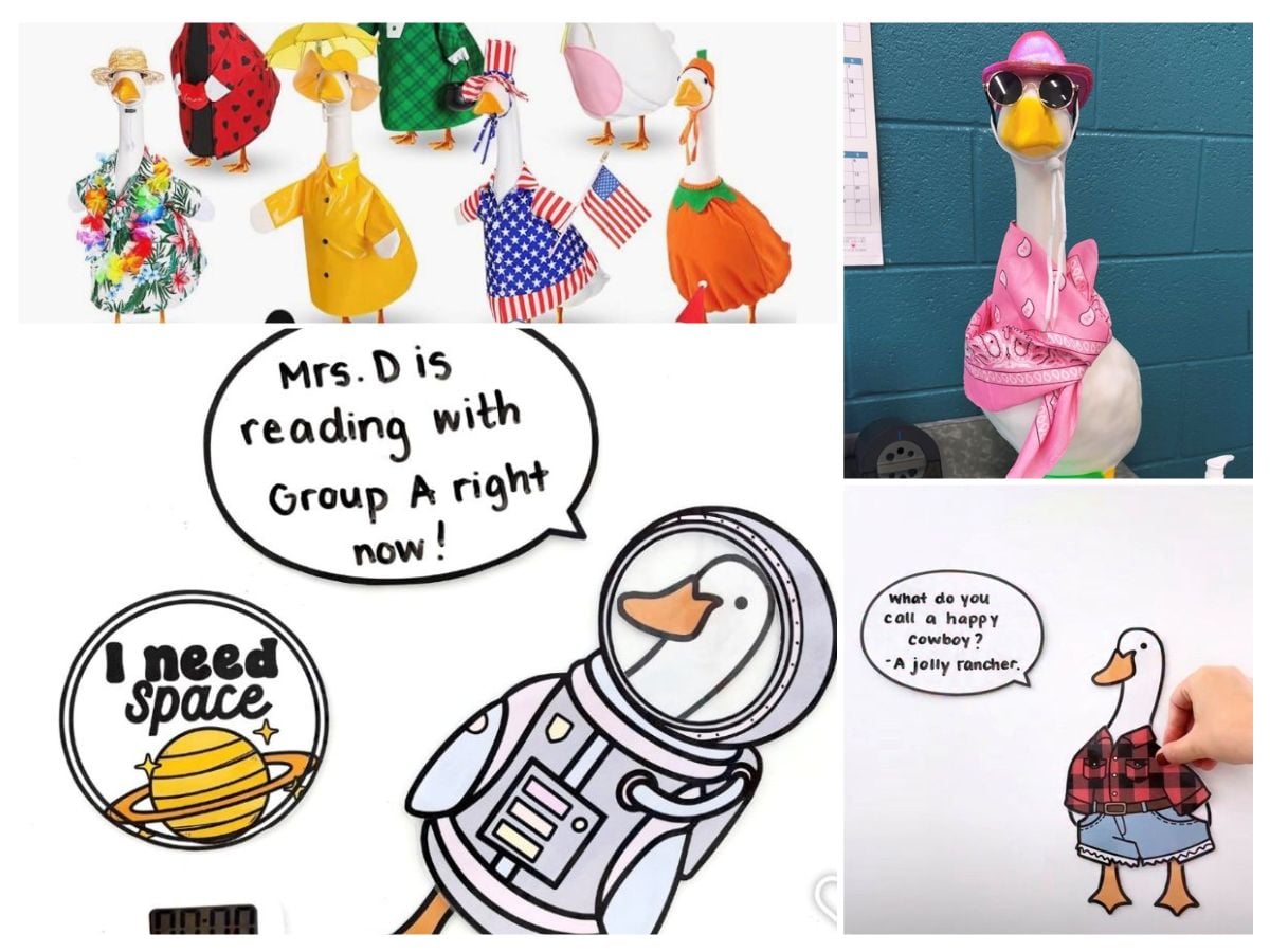 classroom goose ideas