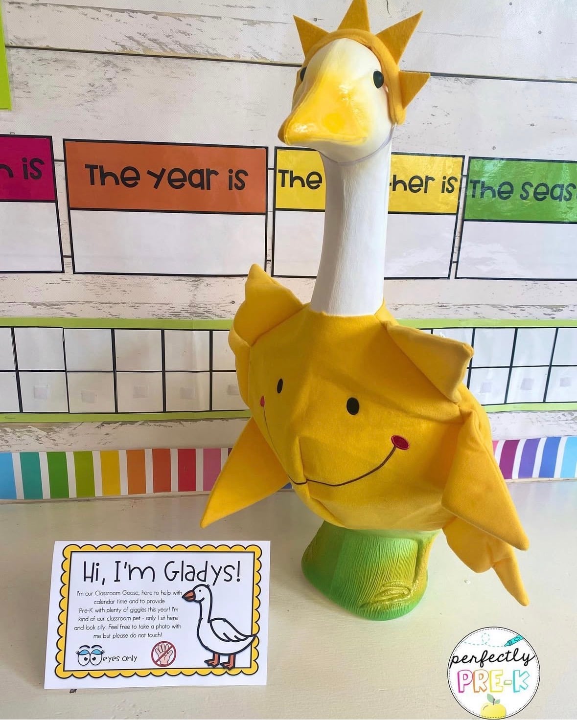 classroom goose dressed as sunshine