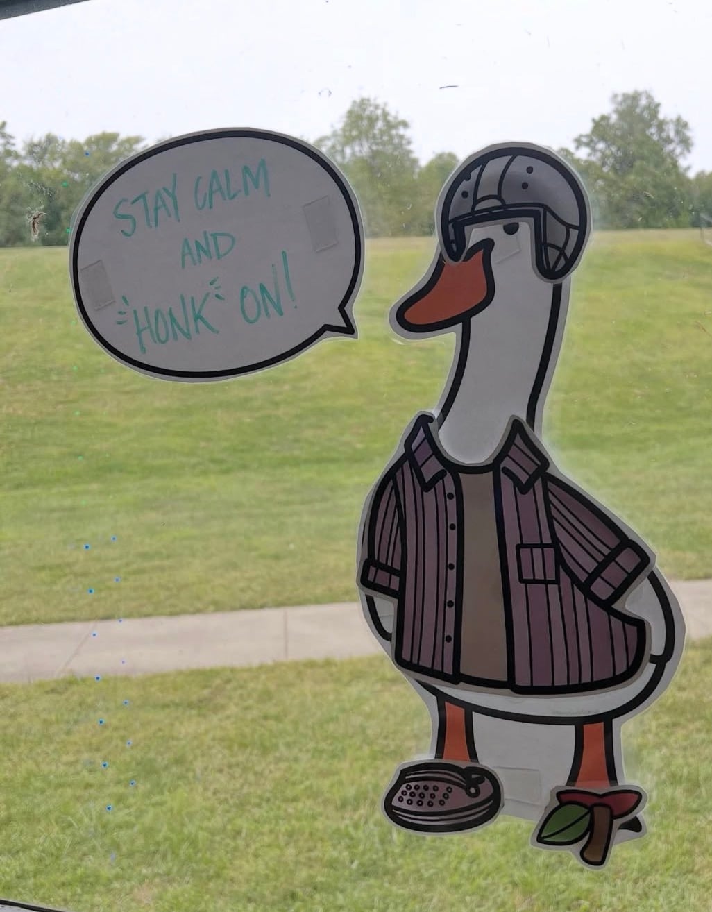 classroom goose on window