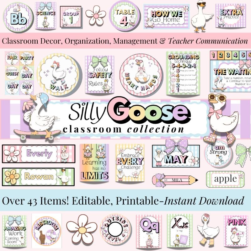 Silly Goose classroom decor bundle