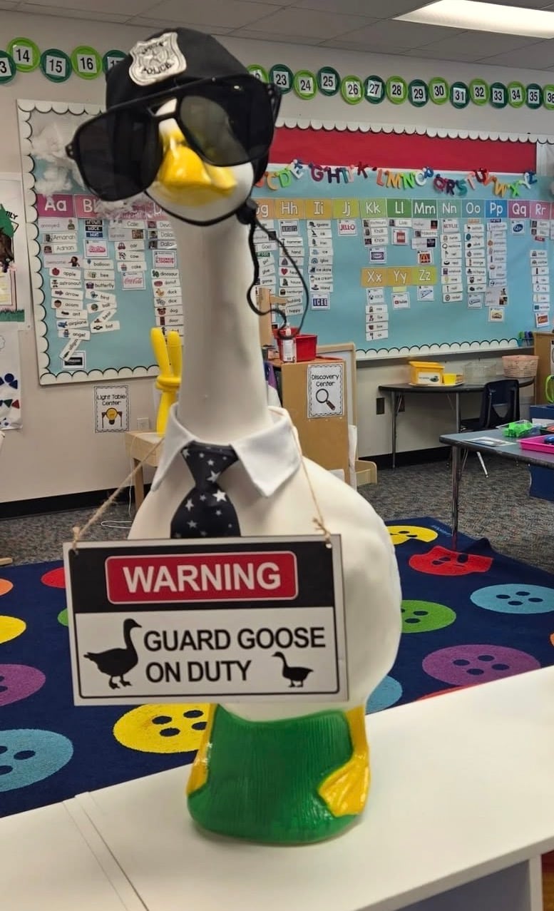 silly goose dressed up