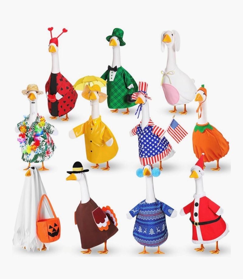 seasonal goose outfits